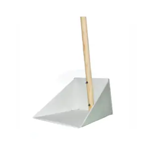 RECOGEDOR LAMINA GRANDE