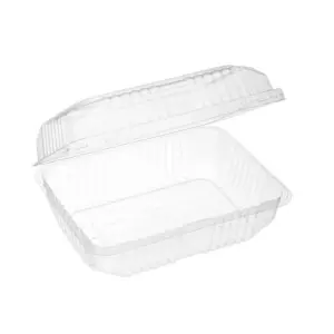 CONTENEDOR PLASTICO CON BISAGRAS 9X6